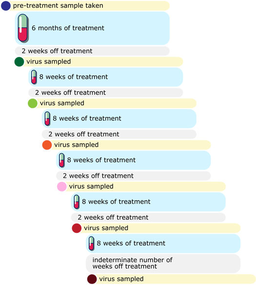 schedule of treatment and sampling