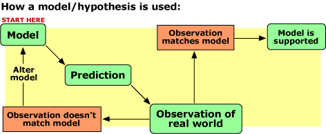 Model-prediction-observation flowchart