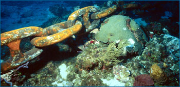 A reef damaged by anchor chains.