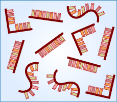various RNA molecules