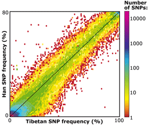 SNP frequency graph