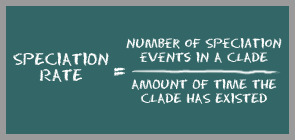 speciation rate = number of speciation events in a clade / amount of time the clade has existed