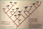 North Carolina Museum of Natural Sciences, dinosaurs