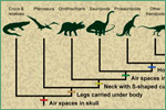 University of California Museum of Paleontology, dinosaurs and other vertebrates