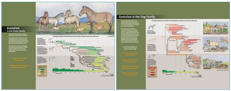 Left: panel on horse evolution; right: panel on dog evolution