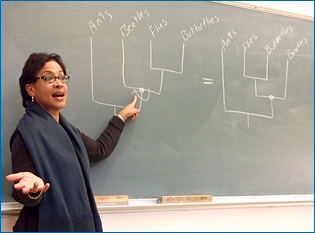 Teaching trees in the classroom