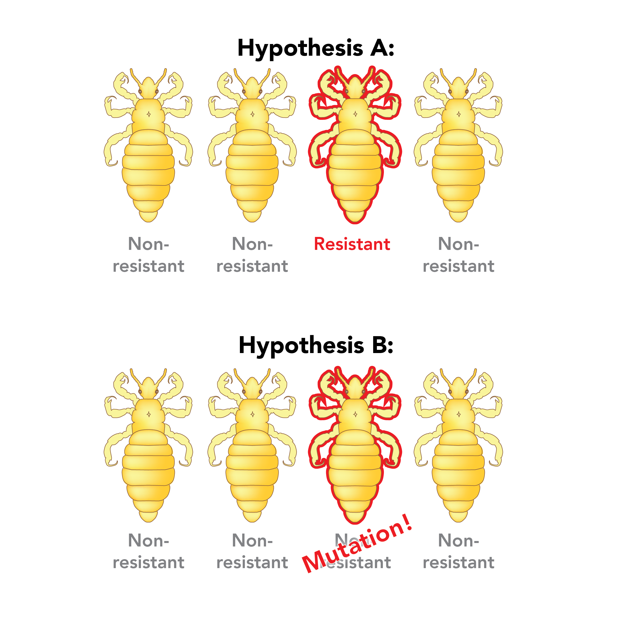 The causes of mutations