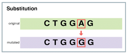 genetic mutation types