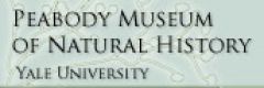 Peabody Museum logo