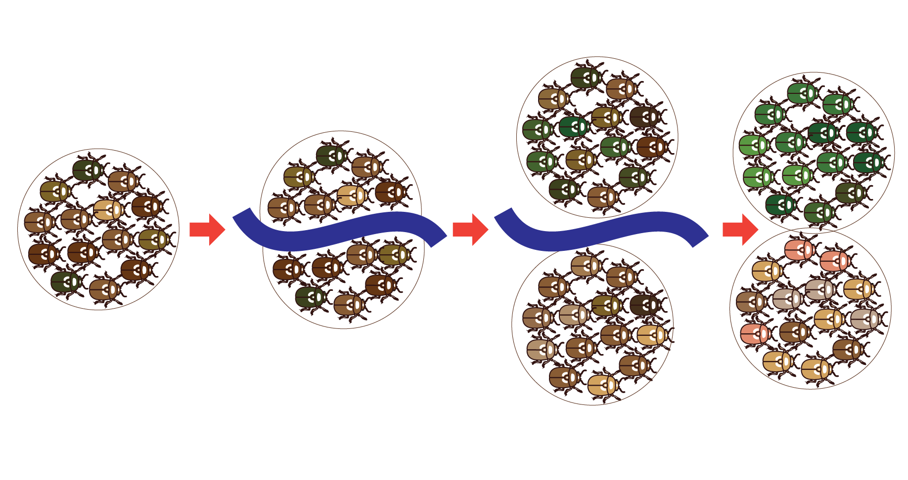 Causes Of Speciation Understanding Evolution