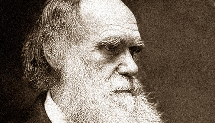 essay about charles darwin