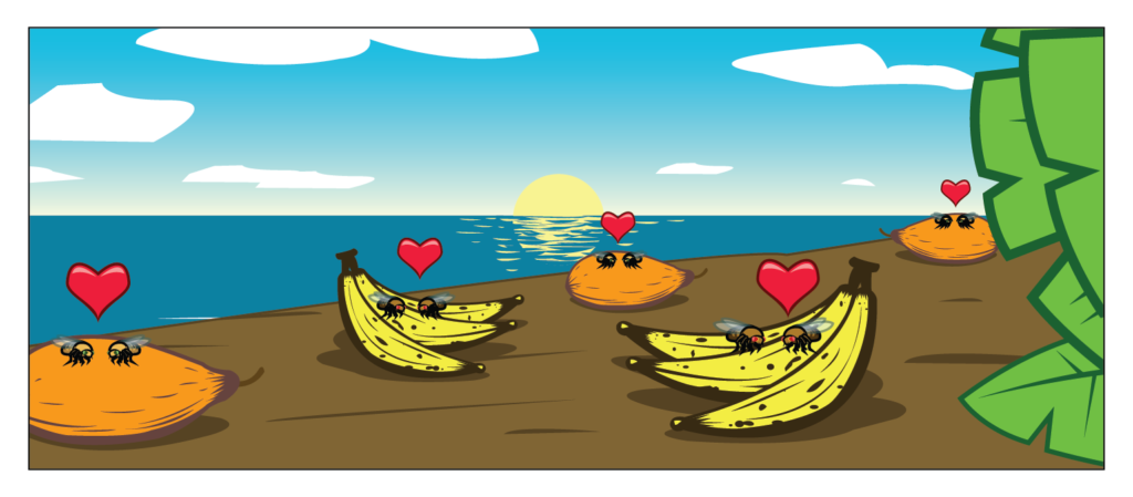 Gold and brown drosophila pairs on various bananas and papayas, all set on a brown shore. 