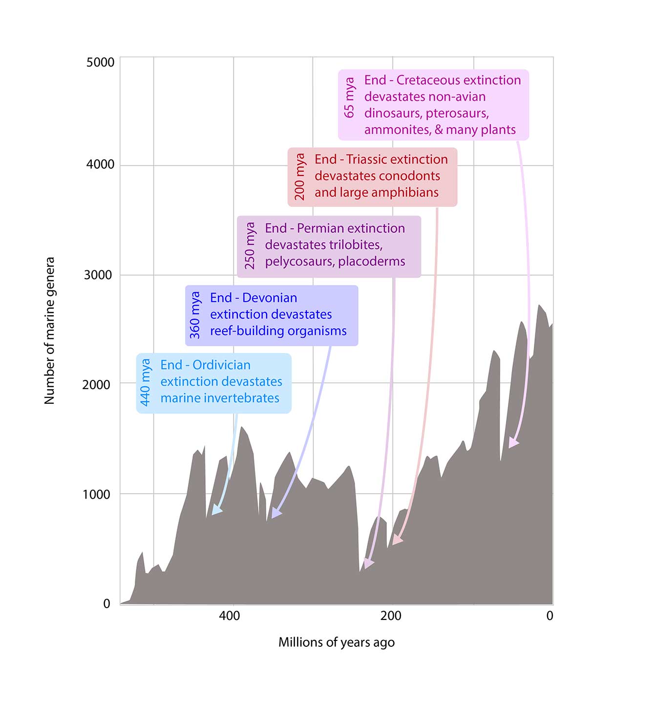 animal extinction chart