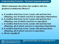 essay on teaching evolution