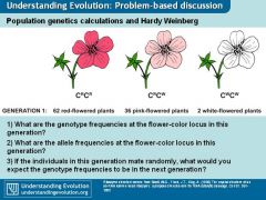 essay on teaching evolution