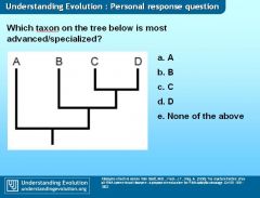 essay on teaching evolution