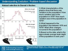 make a presentation on human evolution