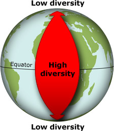 Geographical diversity