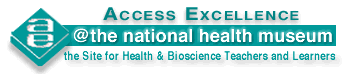 Access Excellence logo