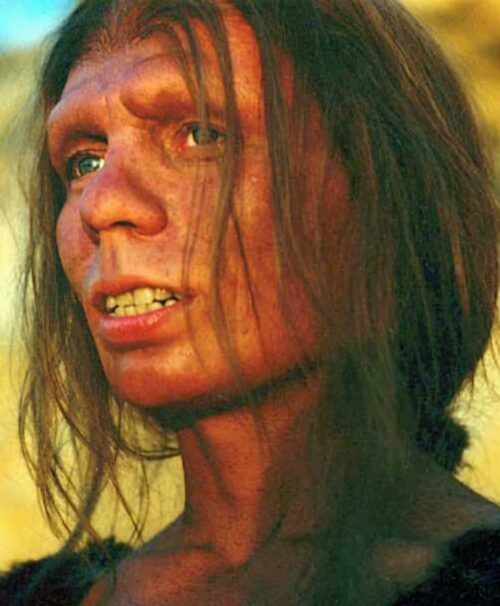 A reproduction of a Neanderthal woman.
