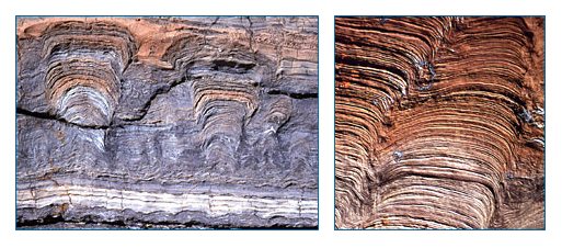 Stromatolite-like deposits. Microfabric details of the