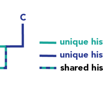 A phylogeny with descendents A, B, and C. A shares a speciation event with B and C. B shares a speciation event with C. There is a dotted line moving from the bottom of the phylogeny towards the speciation event of B and C; this represents the shared history of B and C. The line leading to B is green, representing the unique history of B. The line leading to C is blue, representing the unique history of C.
