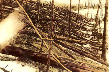 A field of stripped and fallen trees.