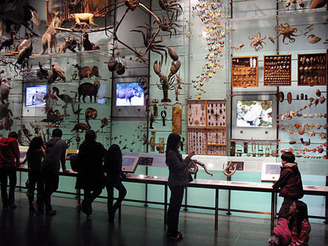 People looking at a museum exhibit