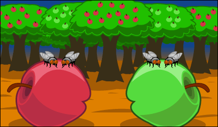 Two flies on a red apple and two flies on a green apple. A mix of red and green apple trees are behind them.