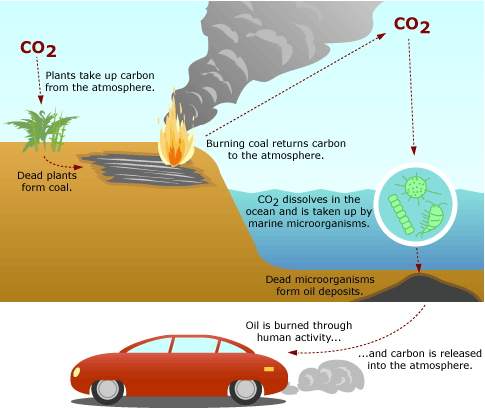 carbon atom gif