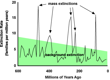 A graph of extinction rates from 600 million years ago to the present