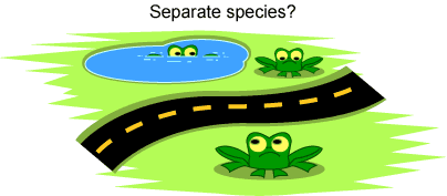 Cartoon showing frogs on opposite sides of a road