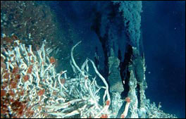 Underwater vents spewing black plumes of smoke, near some tube worms