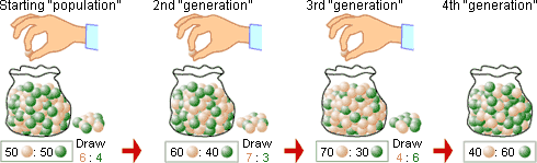 Green and brown marbles are randomly drawn from a bag and then the bag is restocked with the proportion of each color drawn last time. The proportion of colors changes with each draw.