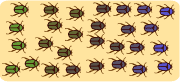 Yellow field filled with beetles. Beetles at left are green. Beetles at right are purple. Intermediate shades are in between.