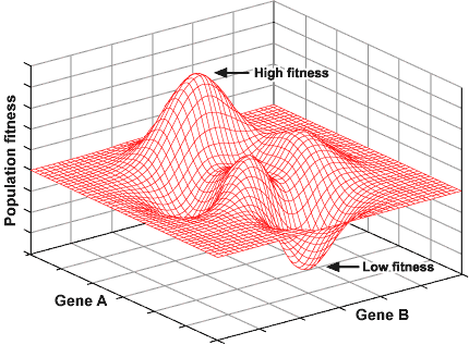 A complex landscape involving two loci depicting high and low fitness.