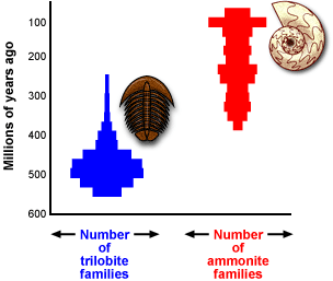 Graph showing the number of triolobite families and number of ammonite families over millions of years