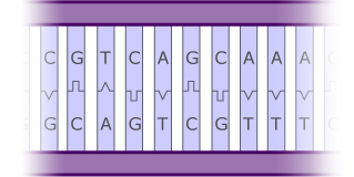 Illustration of a DNA sequence.