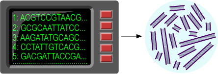 Illustration of a computerized DNA synthesizer on the left building many billions of random DNA sequences. On the left it shows a test tube of DNA fragments with different random sequences.