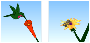 Illustration of a hummingbird pollinating a flower on the left and a bee landing on a flower on the right.