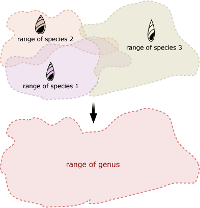 Illustration showing how three species geographic ranges that don't overlap with each other much create the larger geographic range of the genus they all belong to.
