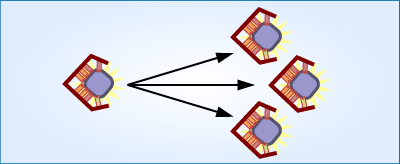 Illustration of best preforming RNA reproducing.