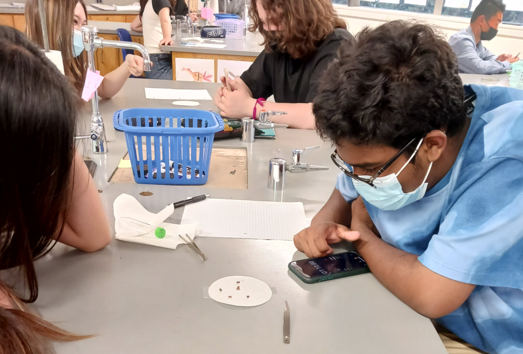 Teenagers wearing face masks use a timer in a lab setting