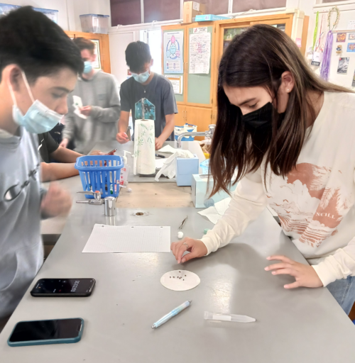 Teenagers in a lab setting manipulating insects