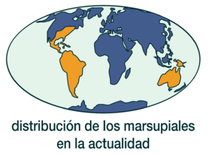 map of marsupial distribution
