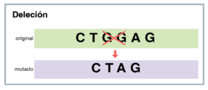 Illustration of a genetic deletion mutation. The original DNA sequence CTGGAG is modified to CTAG in the mutated version, with GG crossed out. Labels: original (green) and mutado (purple).